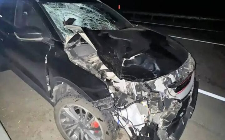 Пешеход погиб под колёсами автомобиля на трассе в Воронежской области