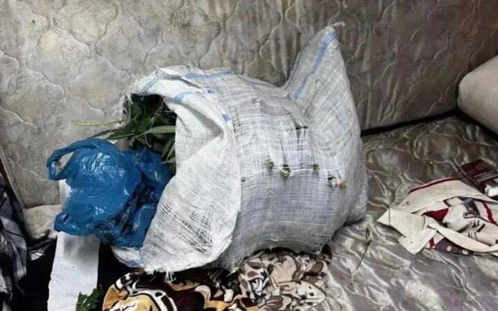 Более килограмма марихуаны: в Панинском районе задержали мужчину с крупной партией наркотика