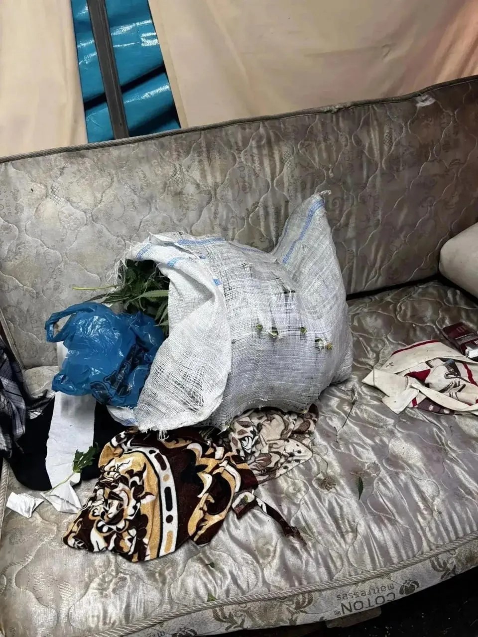 Более килограмма марихуаны: в Панинском районе задержали мужчину с крупной партией наркотика