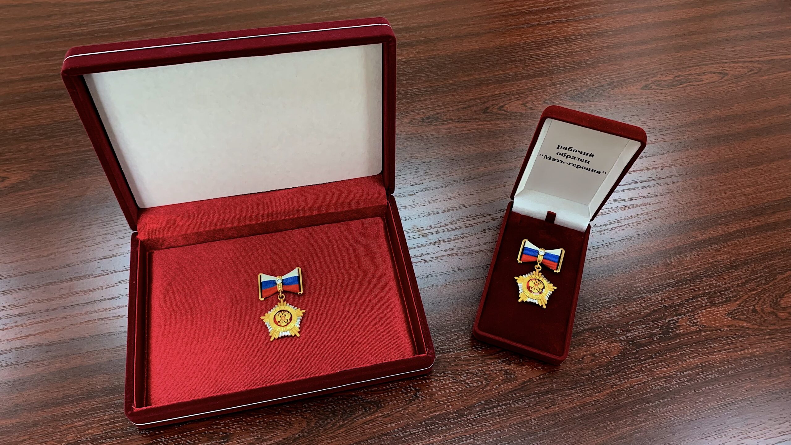 Жительнице Воронежской области Юлии Ковтун присвоили звание «Мать-героиня»