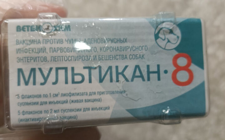 В Воронежской области из ветклиник изъяли вакцину «Мультикан-8» серии №20