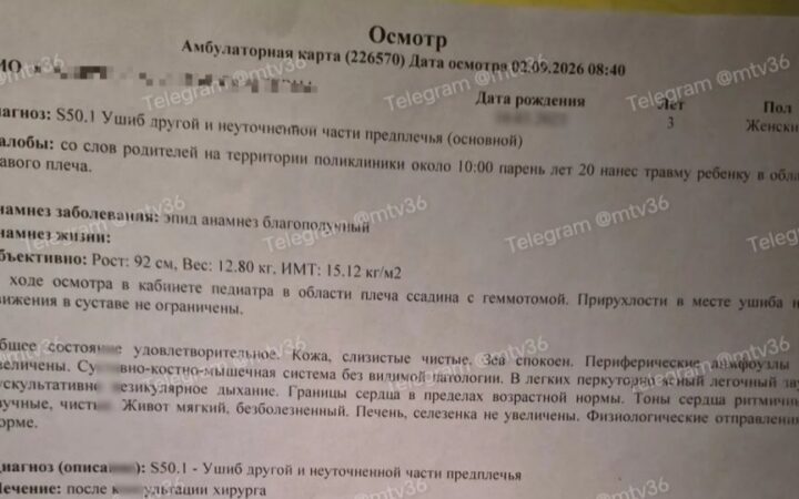 Трое малышей пострадали после нападений мужчины в Воронеже
