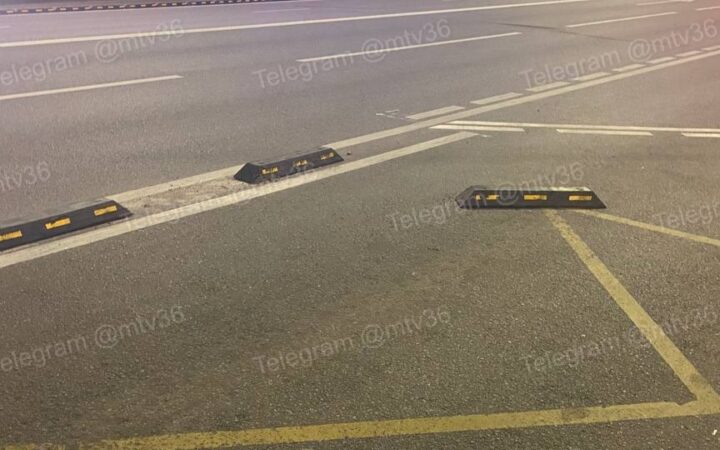 В Воронеже пропала часть делиниаторов: у проекта метробуса возникли сложности