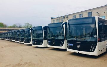 Автобусы