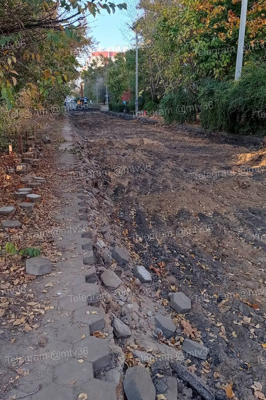 Дорога в Дубраве