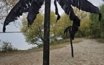 Тропики на берегу: на набережной Воронежа появились самодельные пальмы