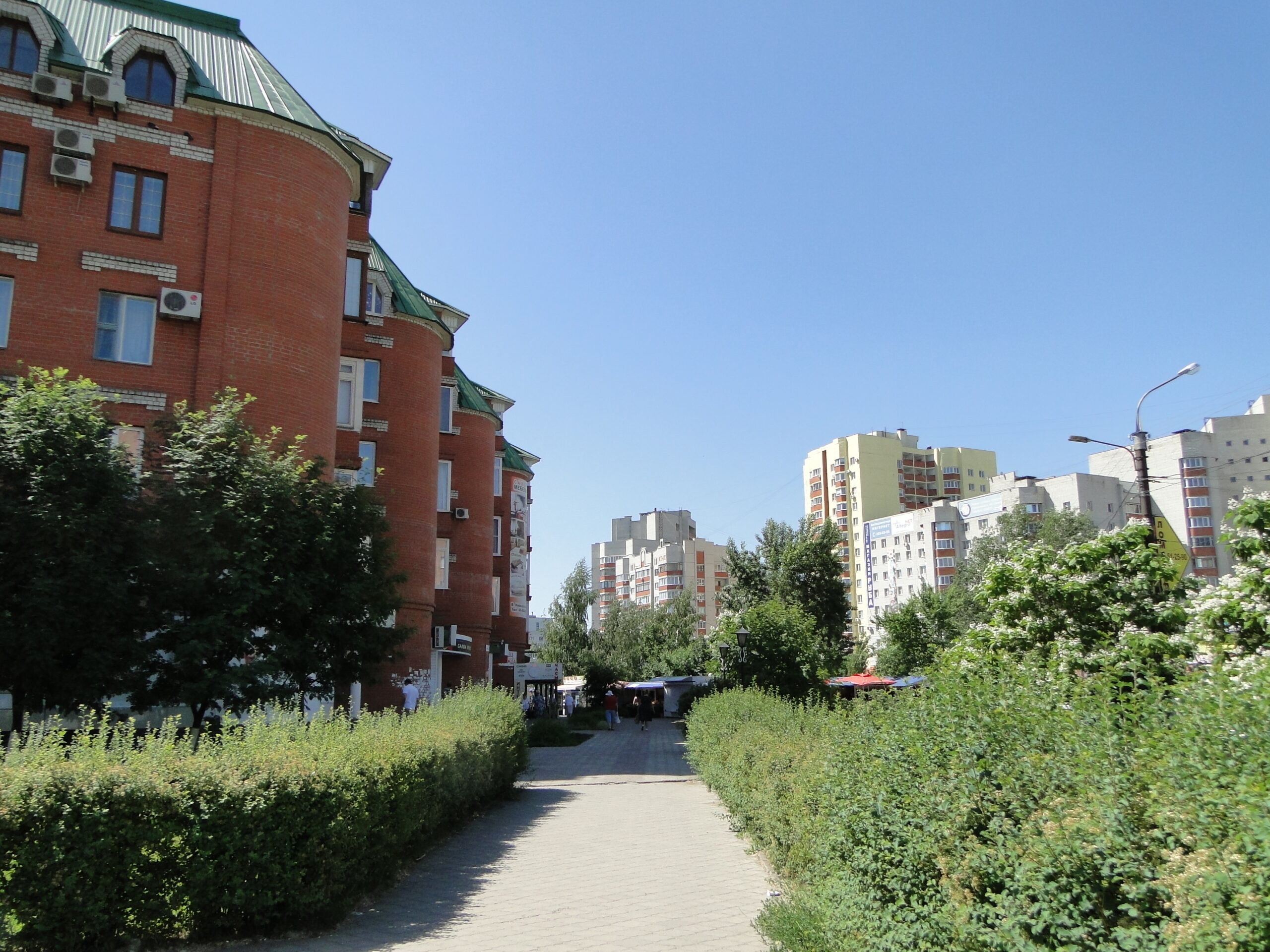 Улица Владимира Невского в Воронеже, иллюстративная фотография 2014 года